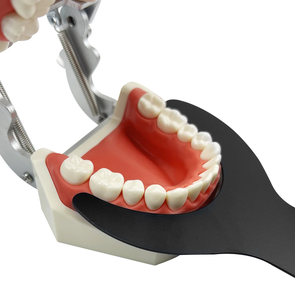 

Набор из 1 шт. металлических контрастных пластин для стоматологических фотографий (черный фон), инструменты для стоматологов, автоклавируемые