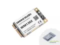 Wio-WM1302