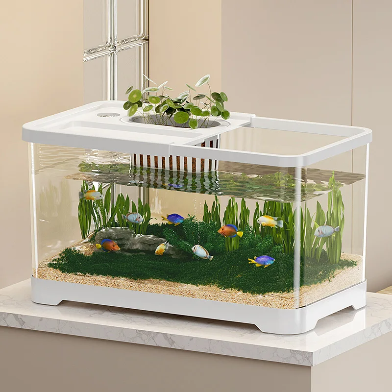 Thumbnail 4 - #11 Best Glass Aquarium Tanks to Buy In 2026