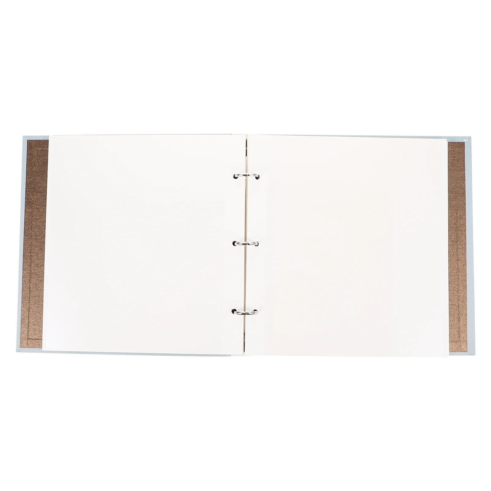 

Scrapbook Plant Specimen Collection Album Plants Press Paper Pressed Flower Photo