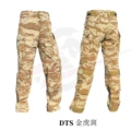 DTS