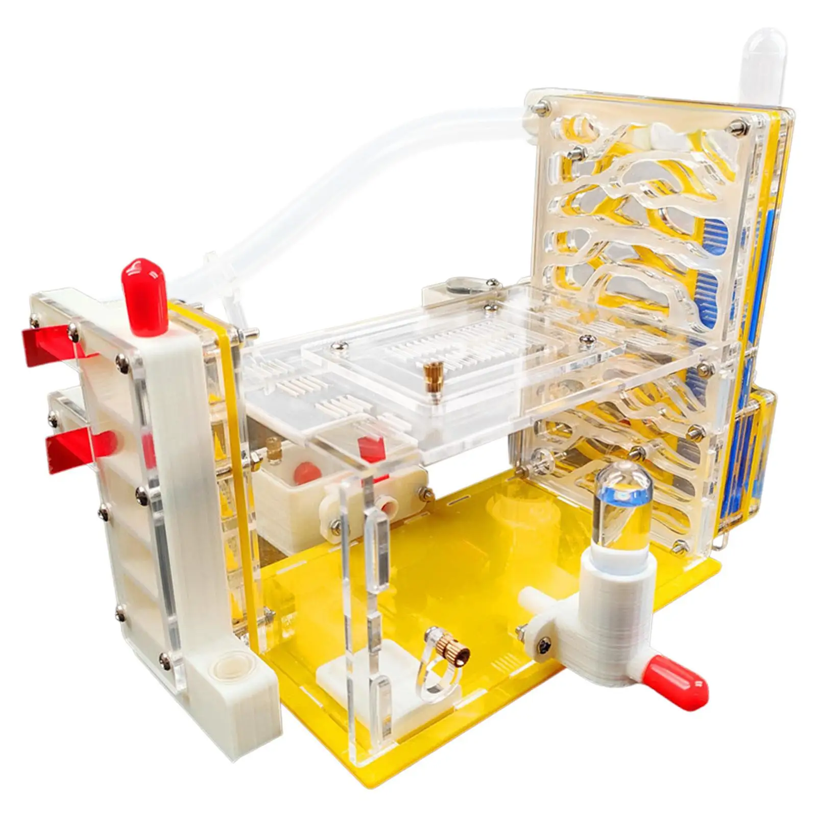 

DIY ANT Farm Castle Observation Scientific Learning Habitat Acrylic ANT Nest ANT House Villa for School Home Kids Students