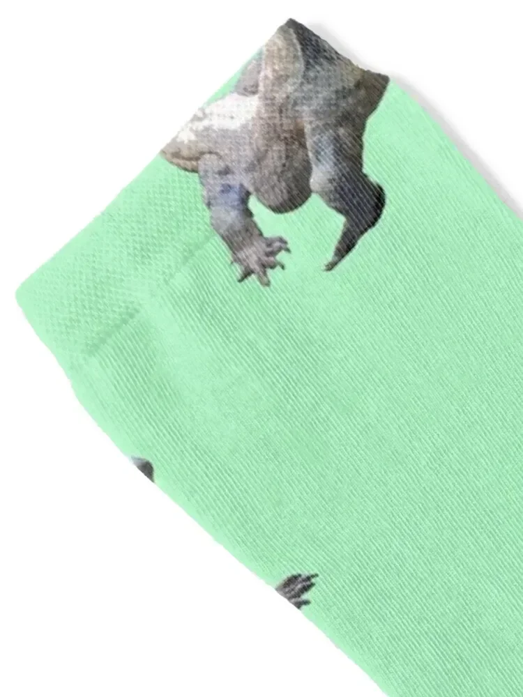 Komodo Dragon Color Print Socks winter gifts funny gifts loose funny gift Socks For Man Women's