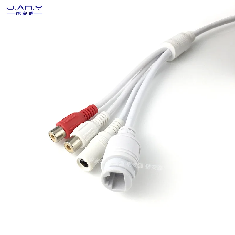 12 core dual RCA audio network waterproof tail line real-time voice intercom audio input/output multifunctional network cable