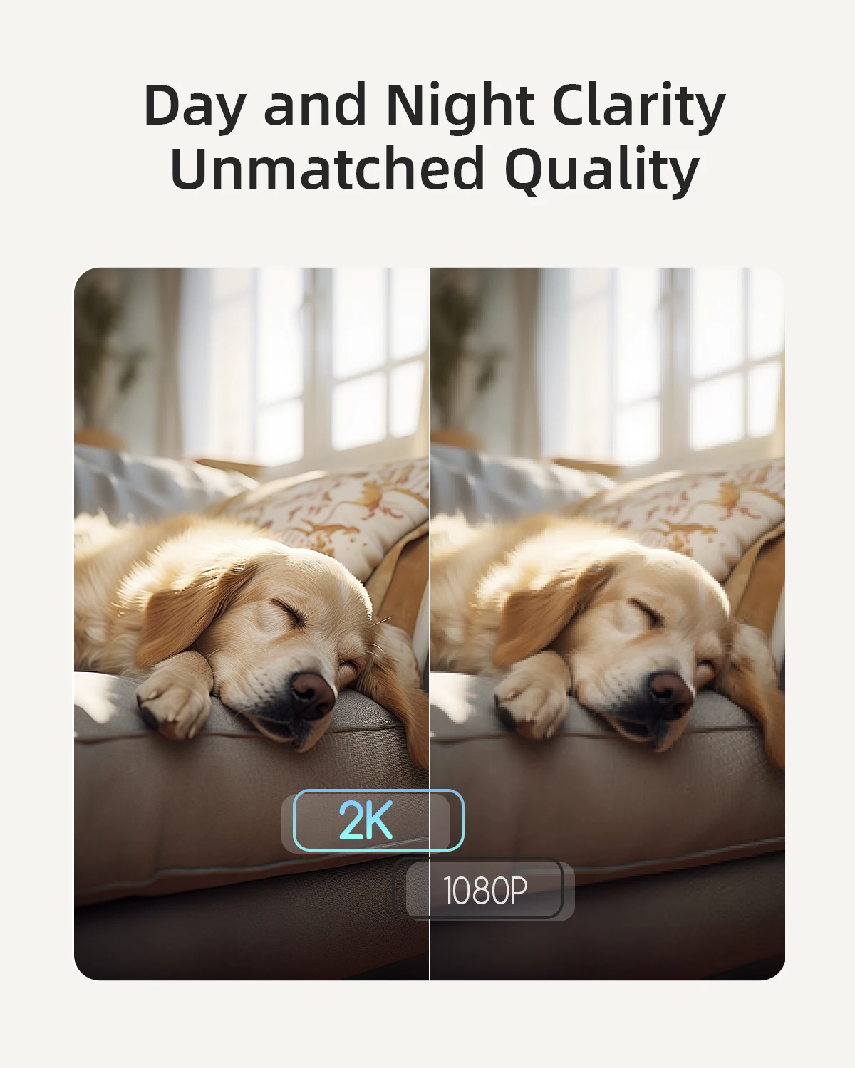 كاميرا Blurams 2K 5 جيجا هرتز/2.4 جيجا هرتز داخلية لأمن المنزل، 360 درجة ° كاميرا PTZ للكلاب الأليفة مع تطبيق الهاتف، محادثة ثنائية الاتجاه، رؤية ليلية، صفارة الإنذار #5