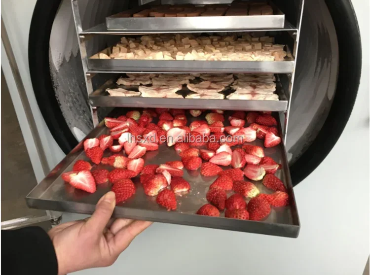 Petite machine de lyophilisation des aliments pour animaux domestiques