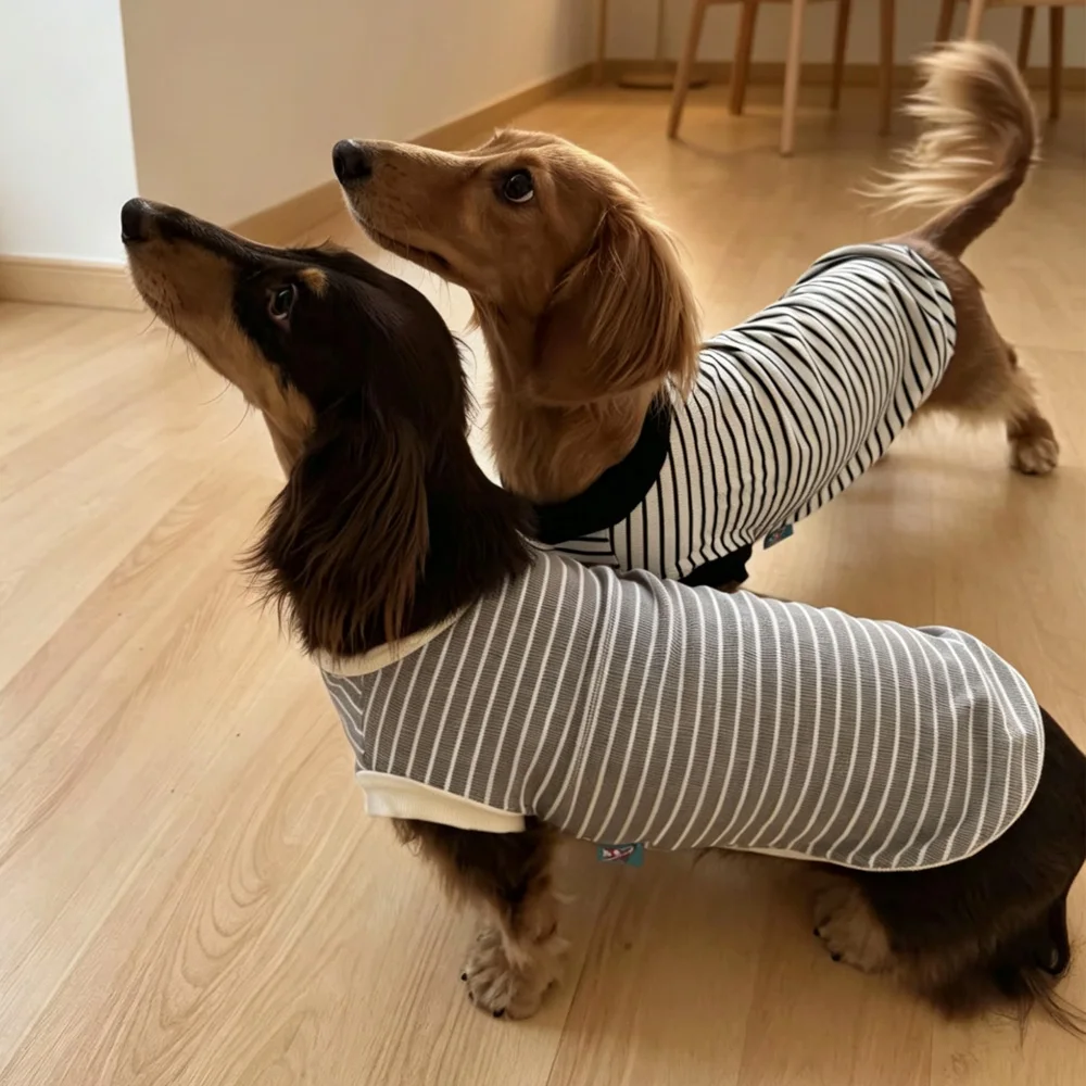 Camiseta a rayas manga corta para perro salchicha – Primavera y verano - imagen 3