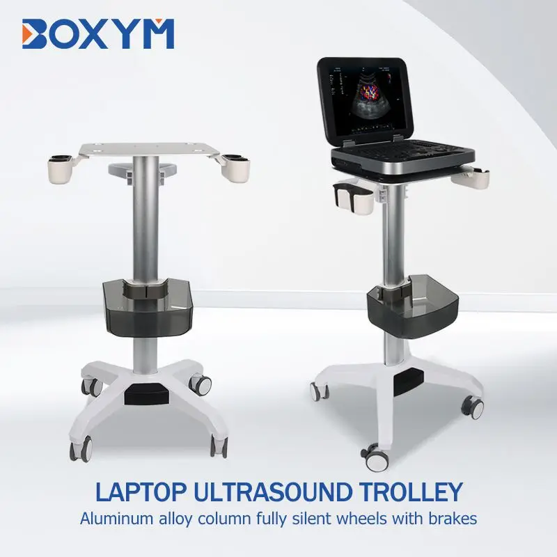 AOLIVIYA Hospital Mobile Trolley Notebook Color Ultrasound Cart Aluminum Alloy Panel Universal Stand Specialty Tools