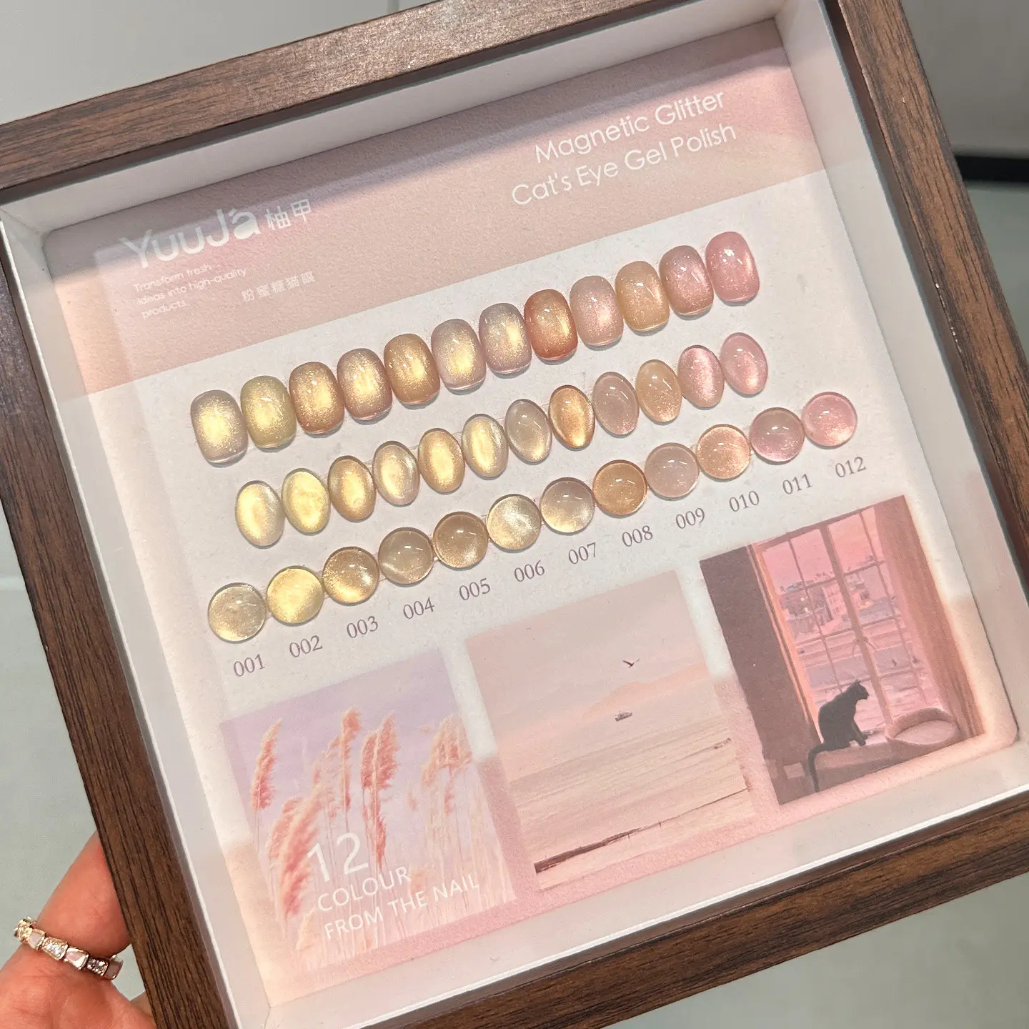 

YUUJA 12 Colors Moonlight Cat Eye Nail Gel Set Bottle 2026 New High Quality Professional & DIY Use Non-toxic UV Gel ODM/OEM