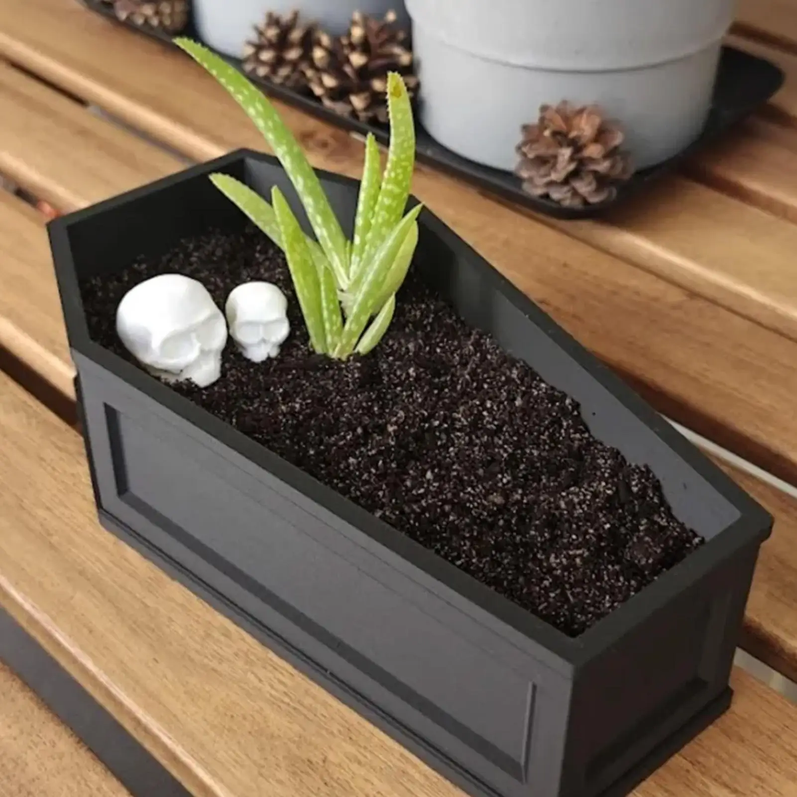 Gothic Planter Spooky Coffin Pot Indoor Planter Container Halloween Decorations with Drainage Tray for Home Office Desk