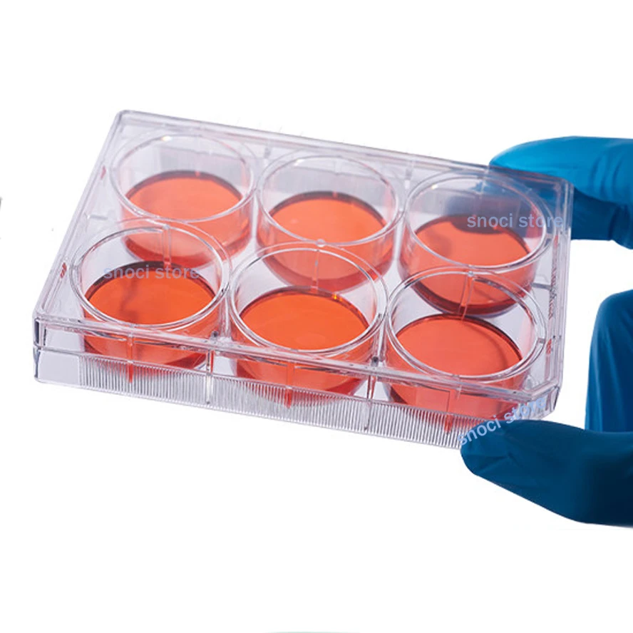 

10Pcs 6-Well Culture Plate TC treatment Tissue Culture Plates Petri Dish Cell Well Plates for Lab Chemical Reaction