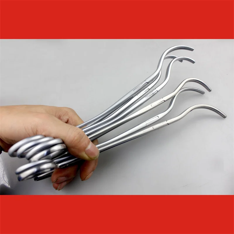 ملقط جينتشونغ الطبي للكلى بدون ضرر ملقط لقط الكلى ملقط فينا كافا ملقط المسالك البولية والأنورك #5