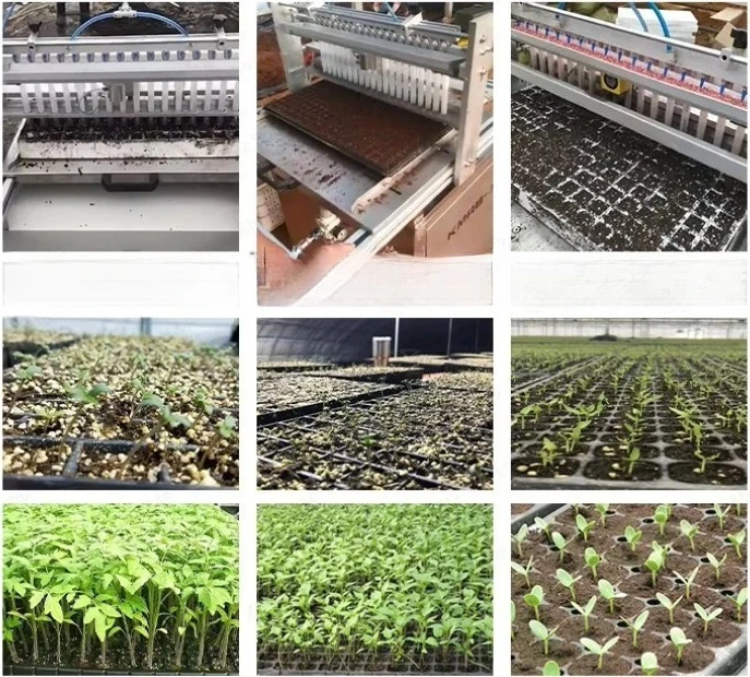 Planting Machine Lettuce Carrot Seeder Planter Seeding Machine for Agriculture