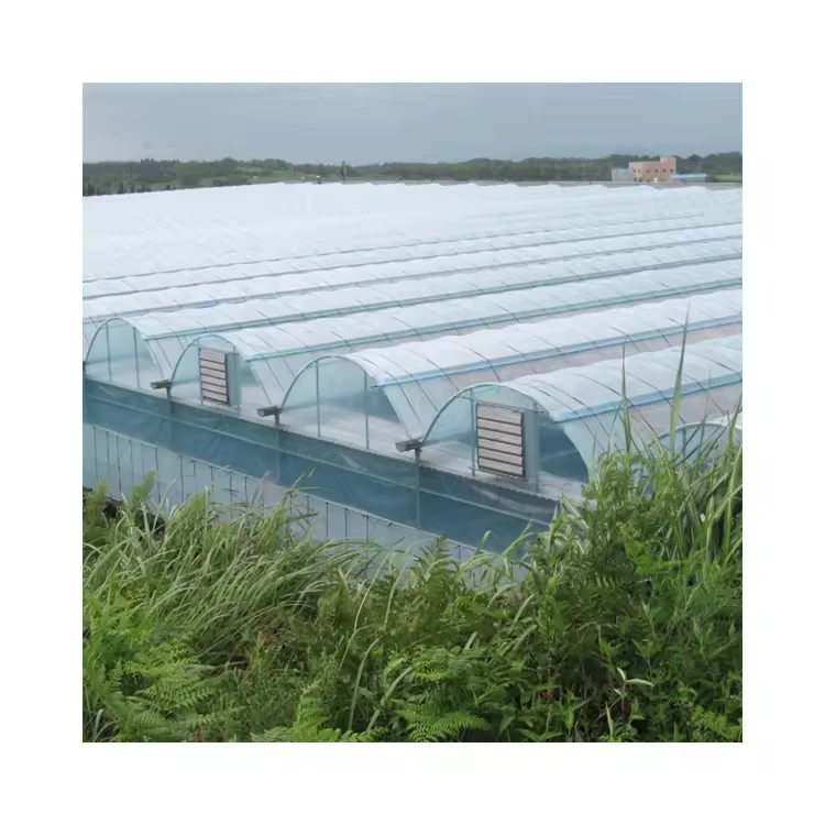 XL Large Agricultural Greenhouse Kit with Cooling System Plastic Tunnel Walk-in Vegetable Growing Serre Agricole Invernadero