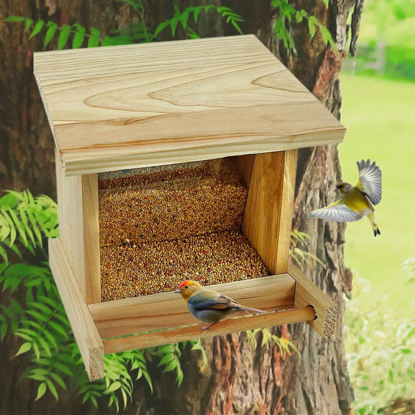 Thumbnail 3 - #41 Trending Bird Feeders Right Now