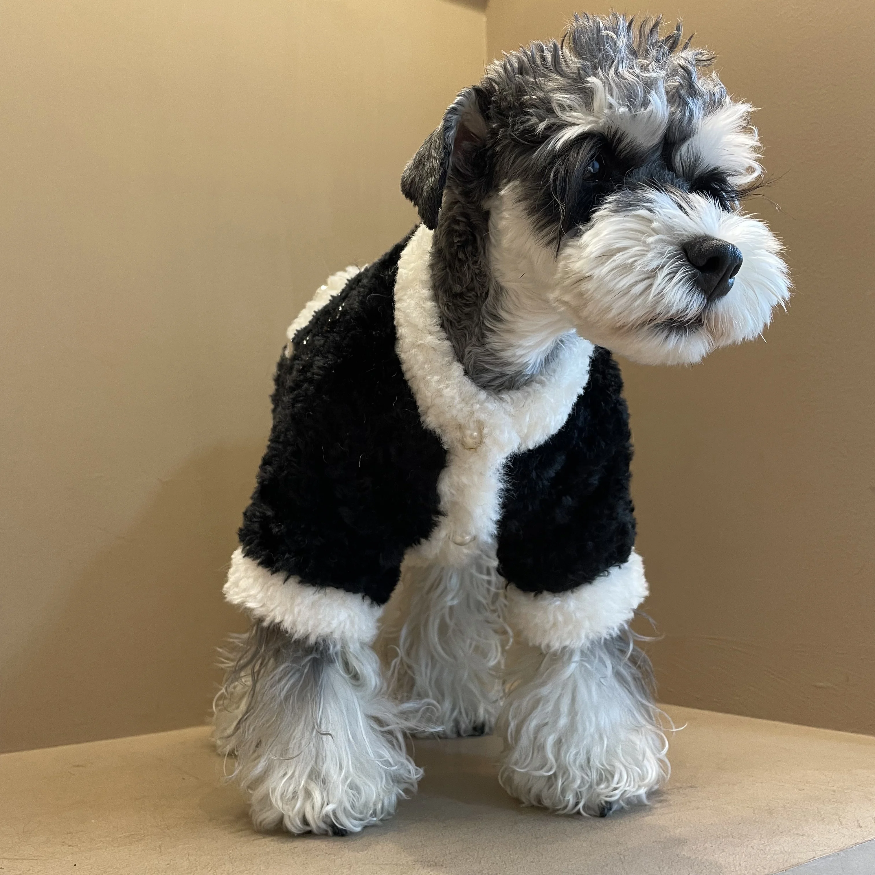 Dog clothing for winter warmth and thickened lamb fur coat