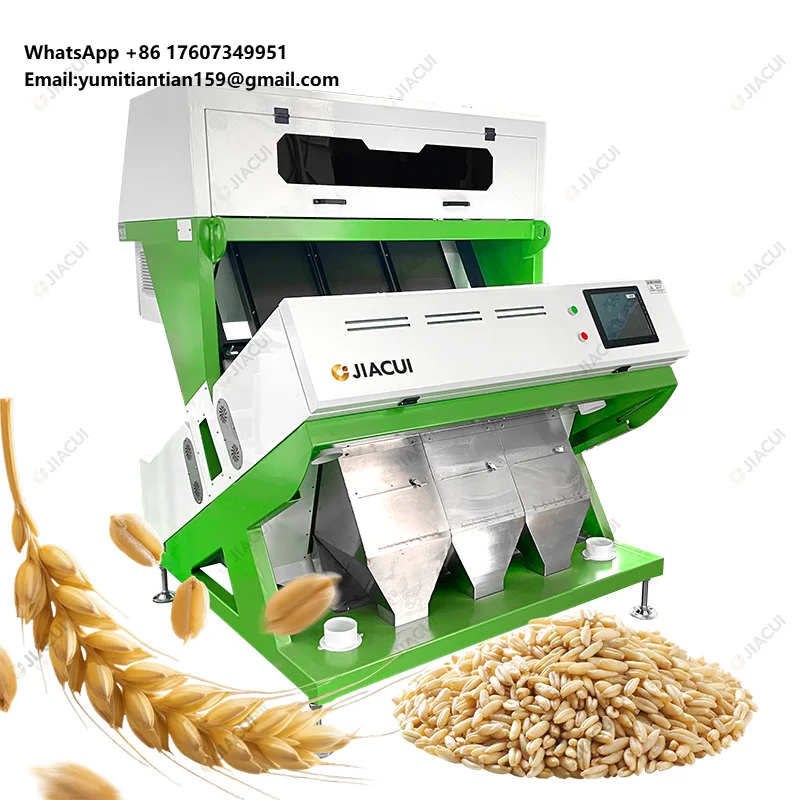 Intelligent 3-Channel Optical Grain Color Sorter with 99.99% Accuracy and 2.5-4 T/H Capacity Wheat Sorting Machine