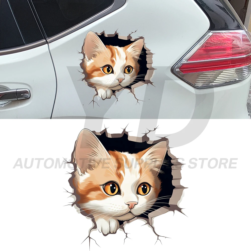 3D Cat Car Sticker Cute Orange Kitten Decals Waterproof Vinyl Auto Body Window Laptop Decor Animal Skeleton Styling Kawaii Gift