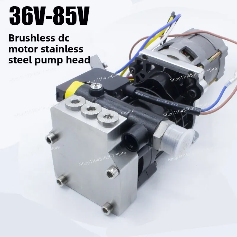 Miniature High Power AC Brushless Motor High Speed Small Stainless Steel Pump Head High Pressure Washer Booster Piston