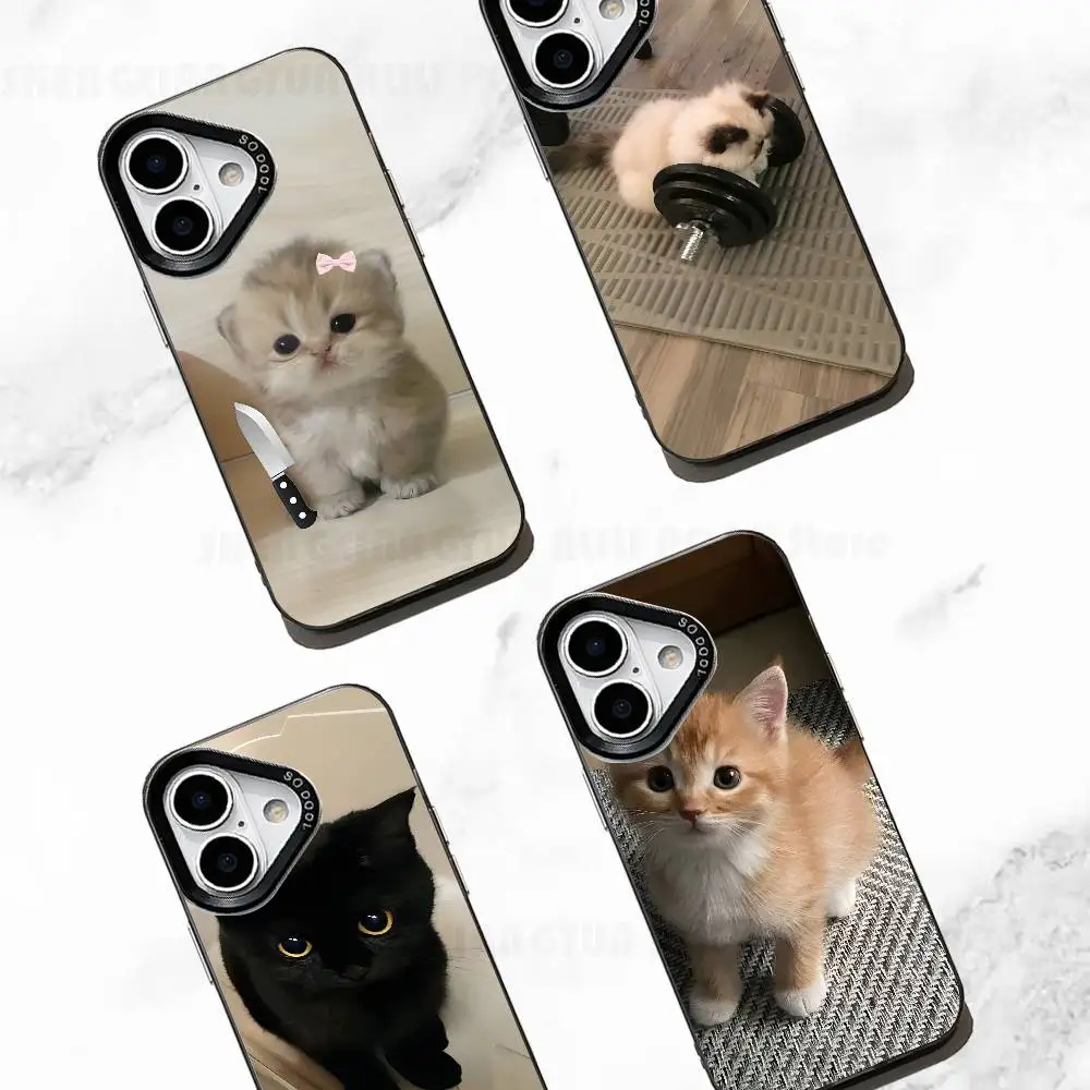 

Cut Little Cat Case For IPhone 11 12 13 14 15 16 17 Pro Max XS X XR Cover