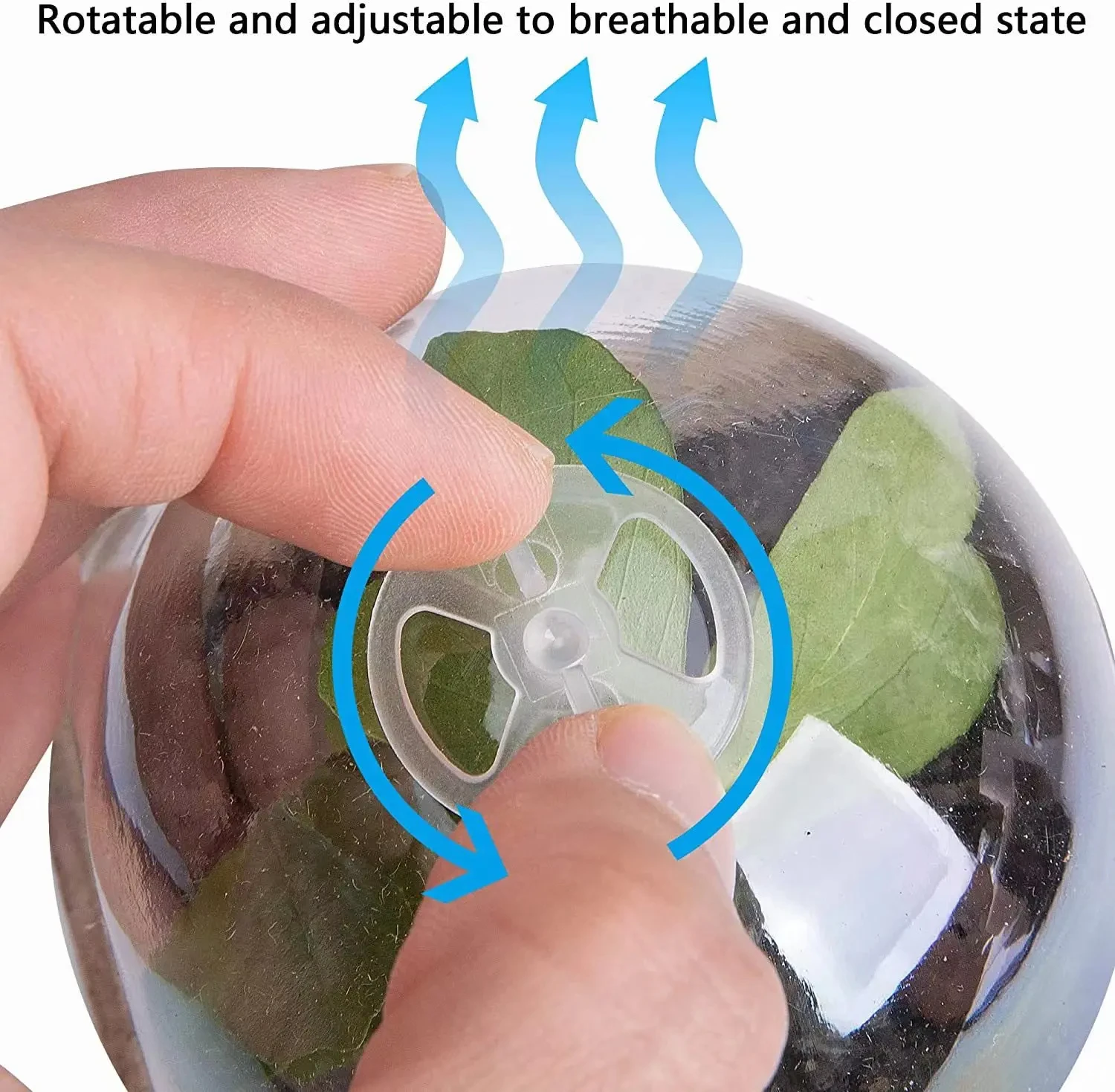 Seed Starter Biodegradable peat POTS, seedling planting POTS with labels, plant POTS with humidity domes