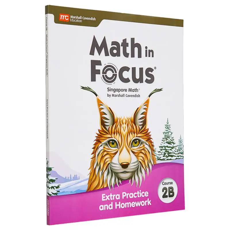 Math In Focus Grade 7 Extra Practice And Homework Volume B Houghton Mifflin Harcourt Houghton Mifflin Harcourt 9780358103110