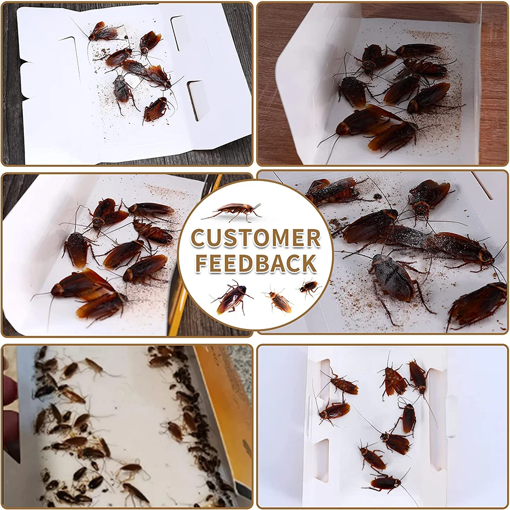 10Pcs Upgraded Cockroach Trap Repellent with Glue Bait Strong Sticky Pest Control Products Catcher Insect Repeller Eco- friendly