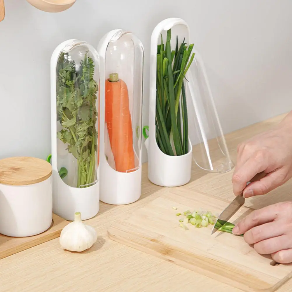 Cilantro Storage Box for Refrigerator Herb Keeper Adjustable Vents Preserves Vegetables Freshness Herb Storage Container