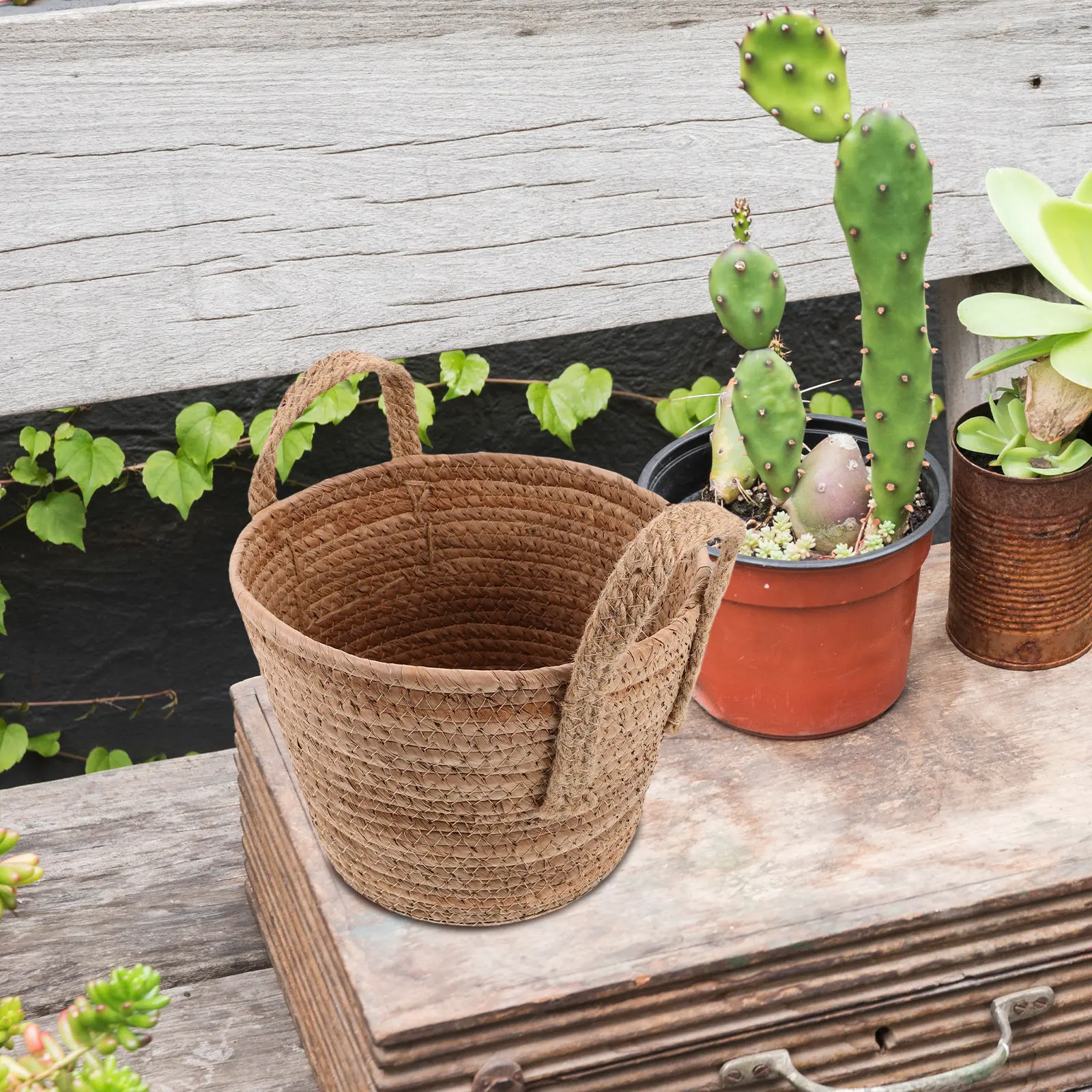 Handcrafted Seagrass Plant Basket Braided Handles Natural Round Woven Rattan Storage Basket Decorative Flower Pot Blanket