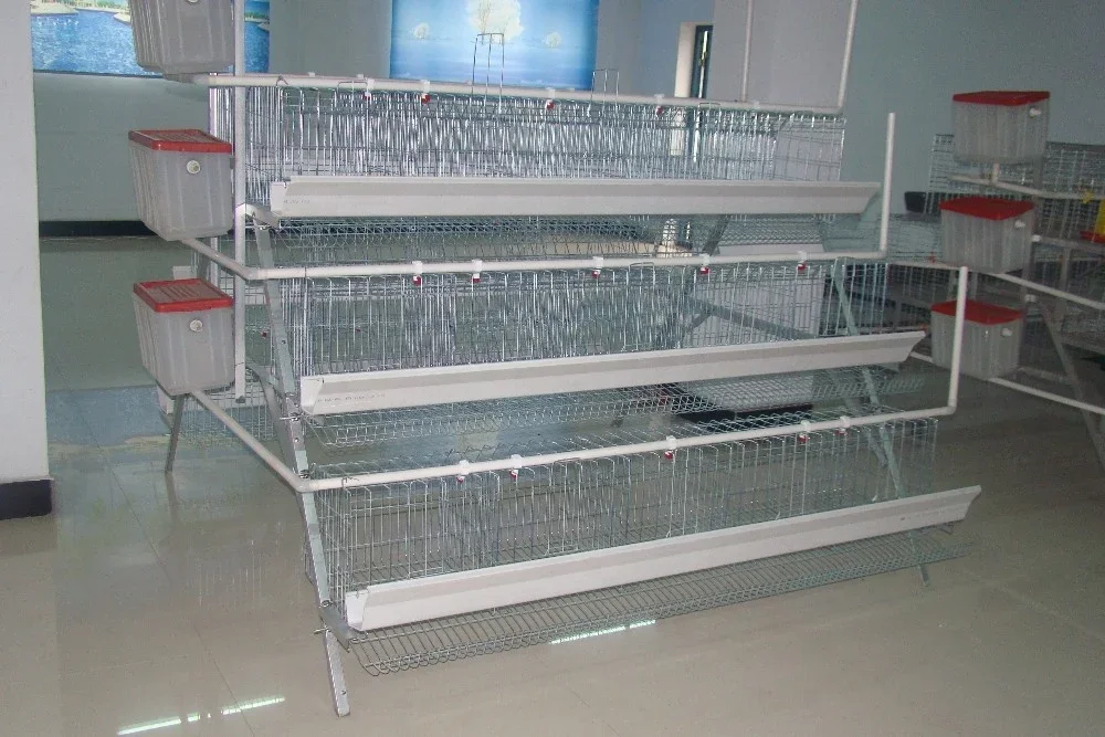 Hot Selling Poultry Layer Egg Cage Animal Cage, Size 3L 4L 5L