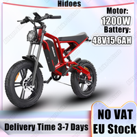 HD-B6  Electric Bike 1200W Powerful Motor 48V15.6AH Removable Battery Aldult Electric Bicycle 20*4.0 Fat Tire All Terrain E-bike