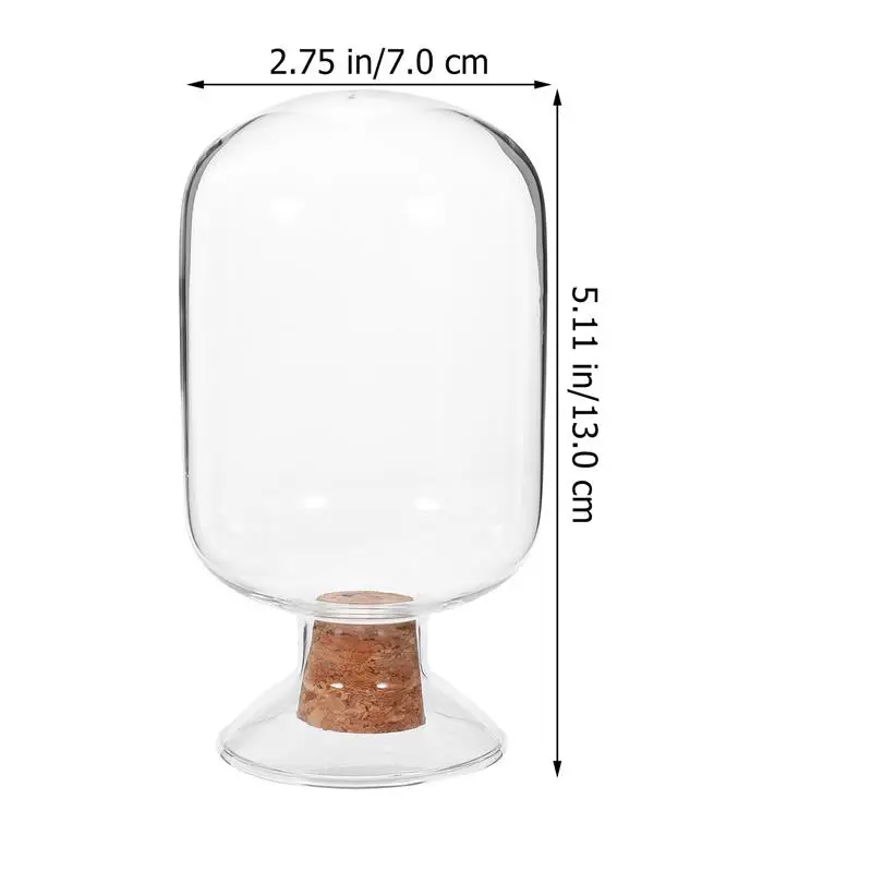 Transparent Glass Fire Wood Bell Jar Packaging Display Bottle Laboratory Specimen Bottle Glass Match Holder 500ml Empty Bottle