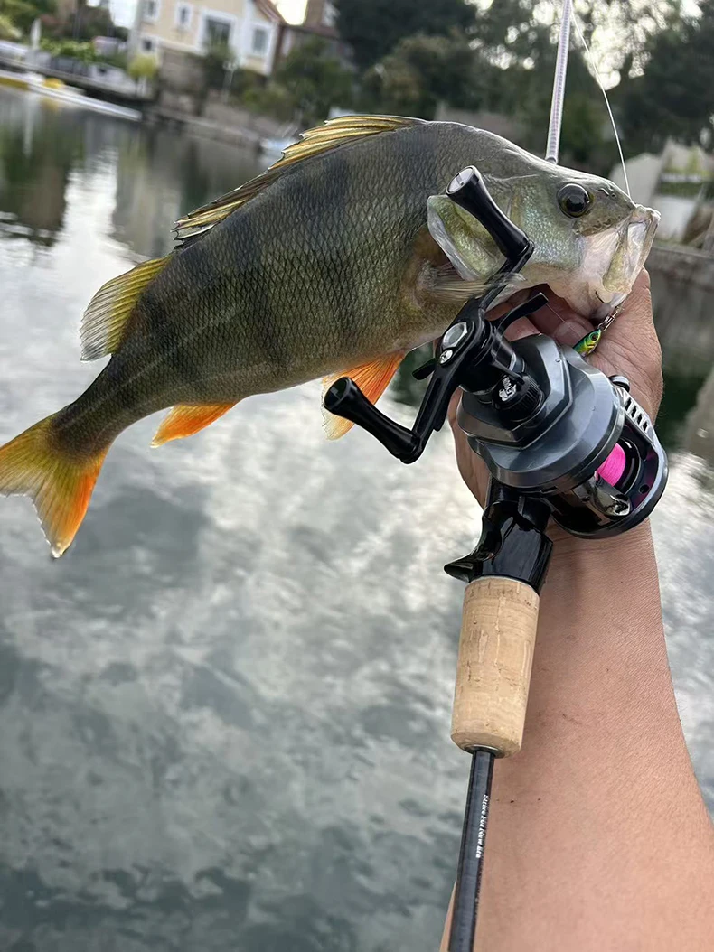 Leydun Neue Lysop-Baitcasting-Angelrollen, 125 g, ultraleicht, 7,6:1, Übersetzungsverhältnis 4,5 kg, Drag-Power-Köderwurfrolle, Baitcaster Tackle – Detail 1