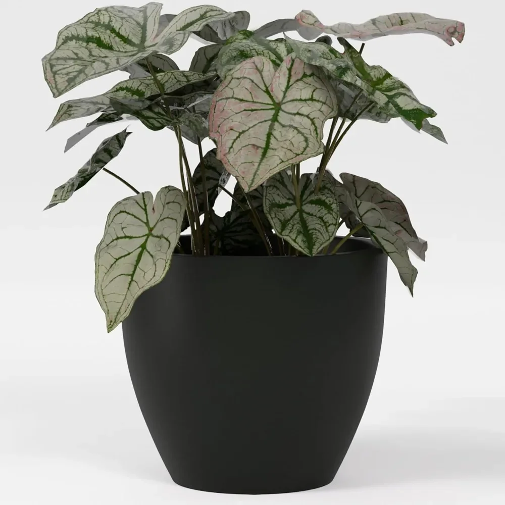 

Greenline Fiberglass Lucy Large Indoor/Outdoor Round Planter - 22 in x 22 in x 19 in - Matte Black