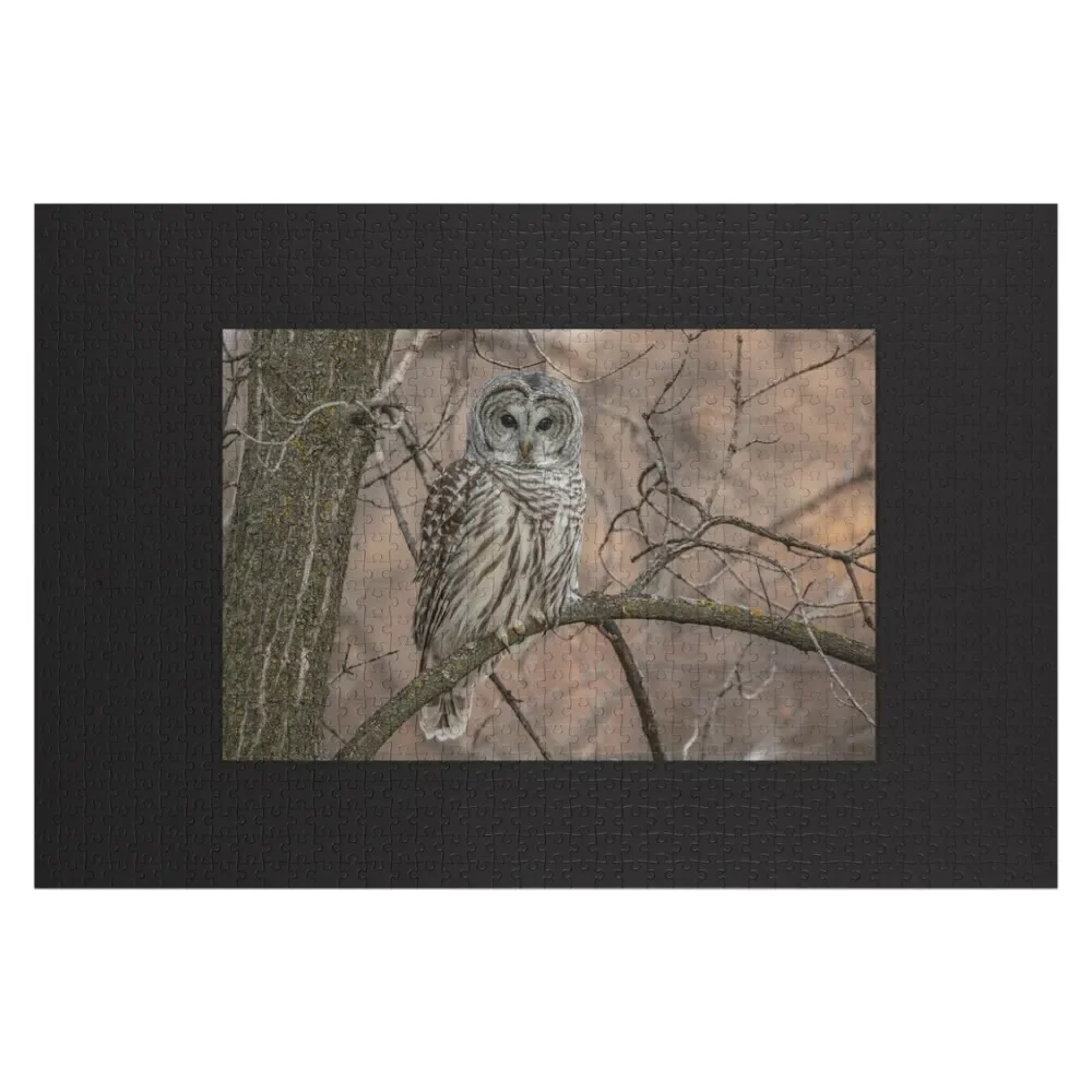 

Barred Owl Image Jigsaw Puzzle Custom Name Wooden Toy Iq With Photo Puzzle