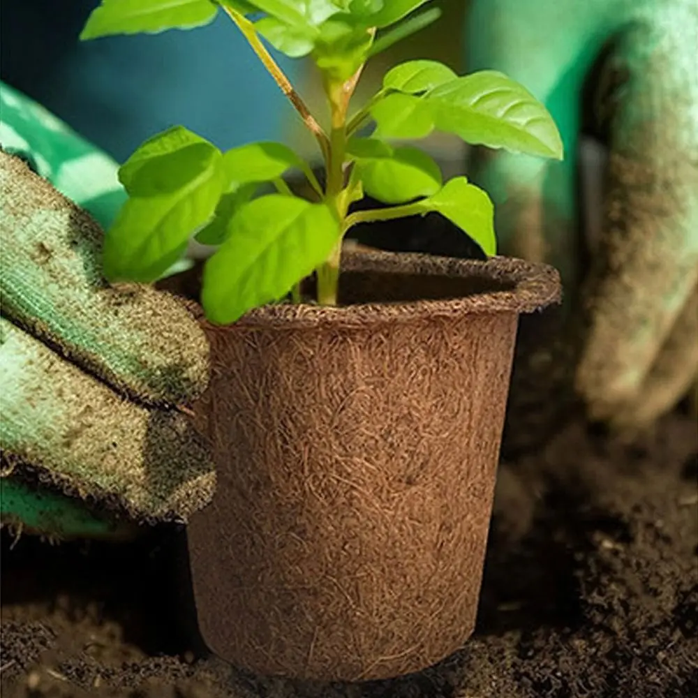 

3pcs Natural Plant Seedling Cups Biodegradable Breathable Plant Containers Pots Coconut Fiber Flower Pot Promoting Growth