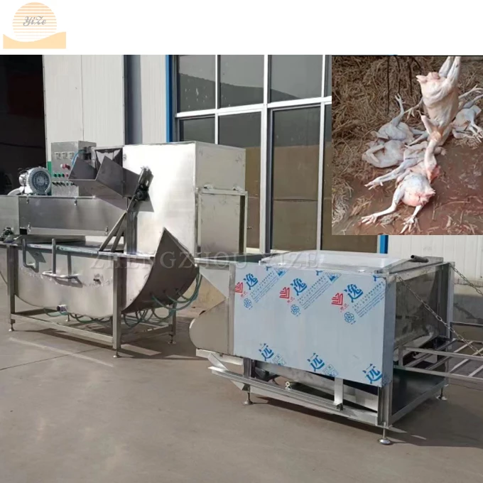 

Automatic Fowl Chicken Slaughtering Machine Price Equipment in South Africa Poultry Chicken Slaughter Machine Line