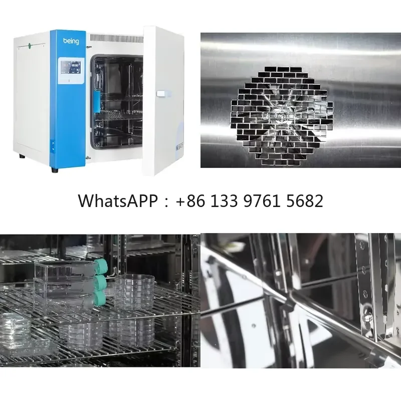 WSQ BEING Laboratory Constant Temperature Incubator, PID Digital Control Stainless Steel Inner Chamber for Lab Research