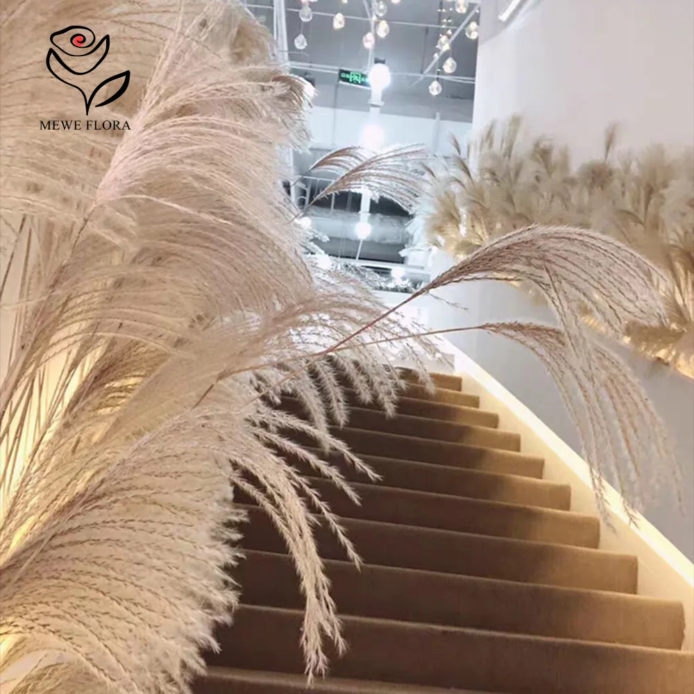 200 قطعة القصب الطبيعي المجفف رقيق باقة زهور لمتجر نافذة المشهد الفاخرة الديكور Pampas العشب مدخل الزفاف الحلي