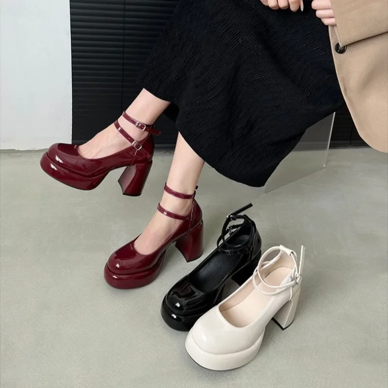 Platform Women Mary Jane Shoes Fashion Elegant Double Buckle Thick Heel Shoes Ladies Dress Pumps Retro 7cm High Heel Party Shoes