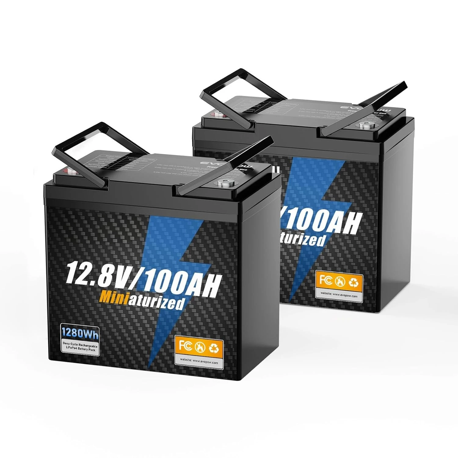 2 Pack 12V 100Ah Mi…