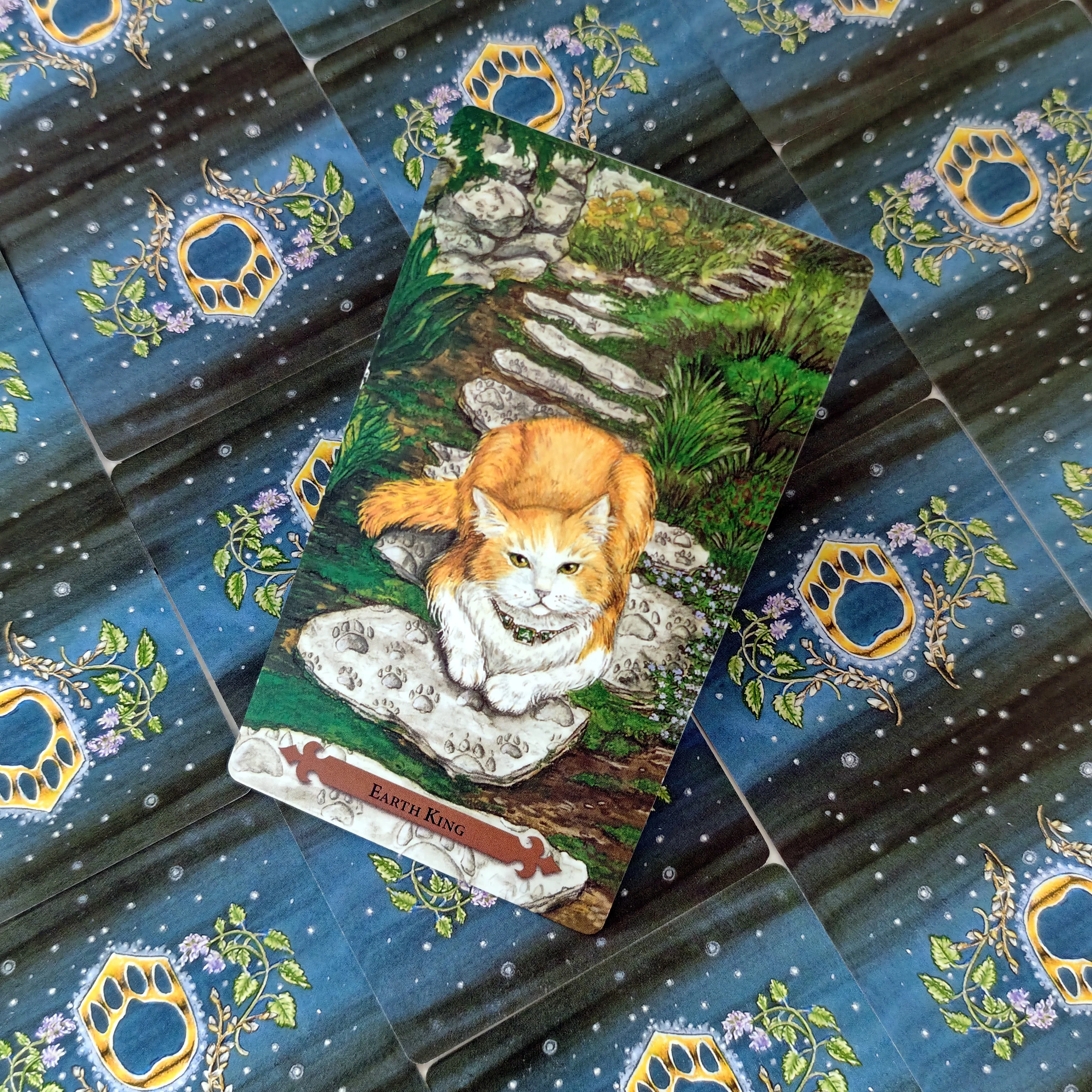 

Карты Таро с мистическим котом 12x7 см, 78 колод, Oracle, английское издание для гадания, Borad, играющие в игры