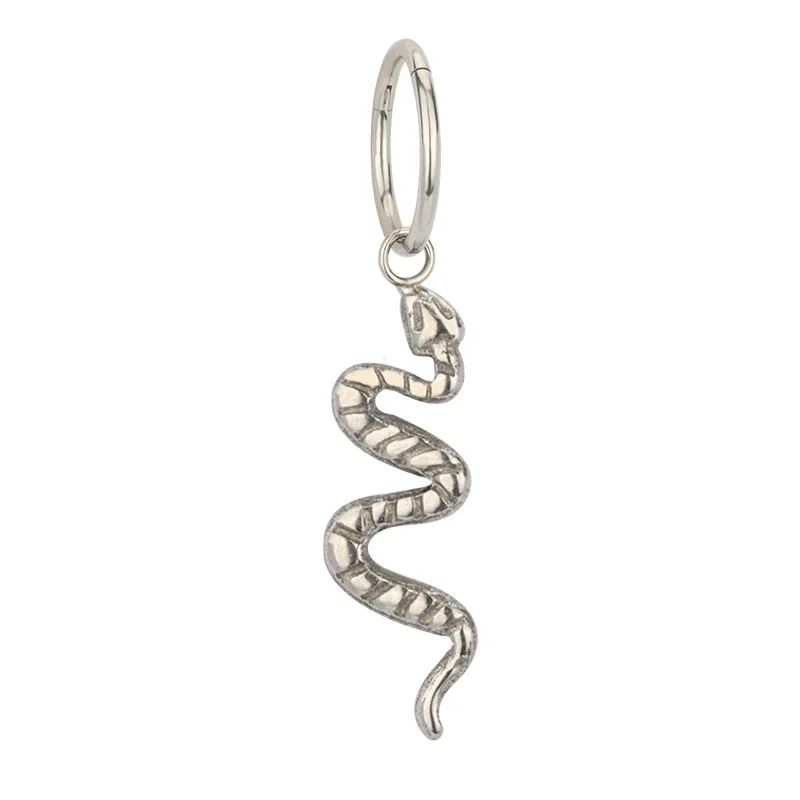 G23 Titanium Hinged Segment Hoop Earrings, CZ Paved Design