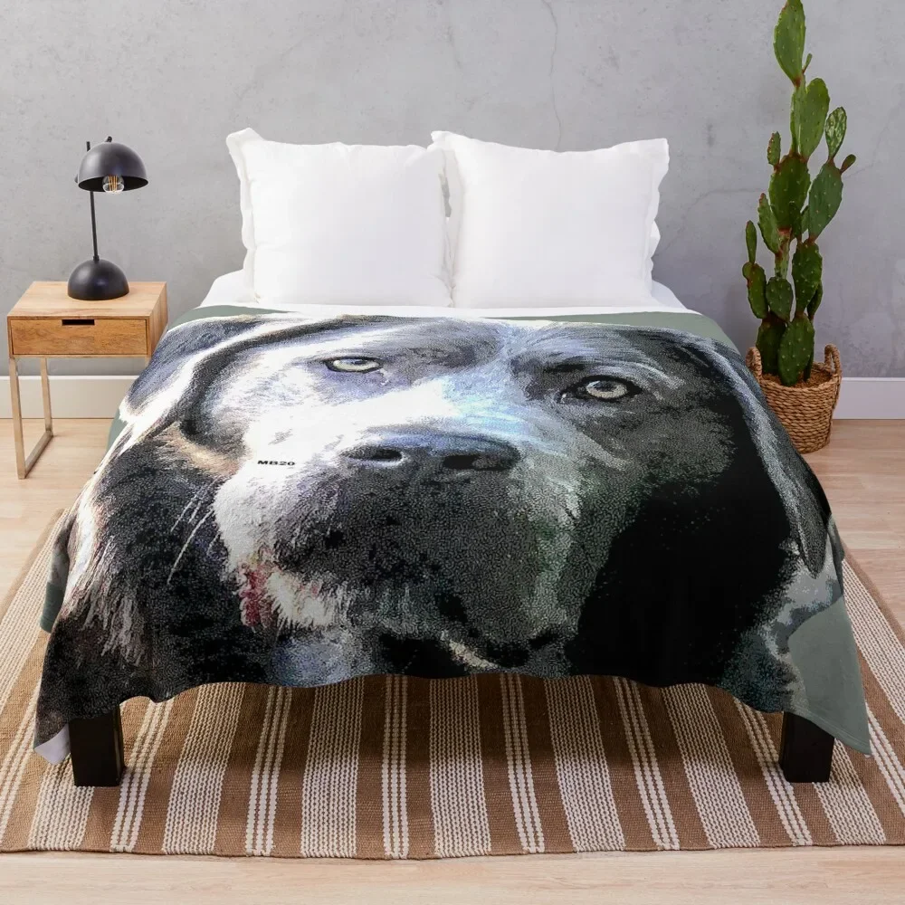 

Silver Lab Gray Throw Blanket Ultra Soft Flannel Fleece Blanket for All Seasons