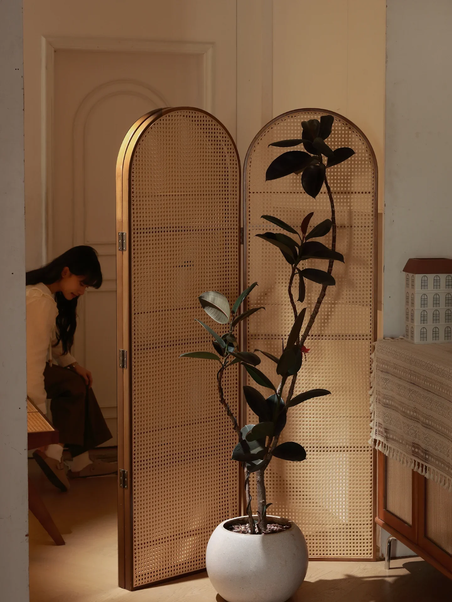 Mobile rattan folding screen, partition, living room, bedroom entrance shelter, French storage bookshelf