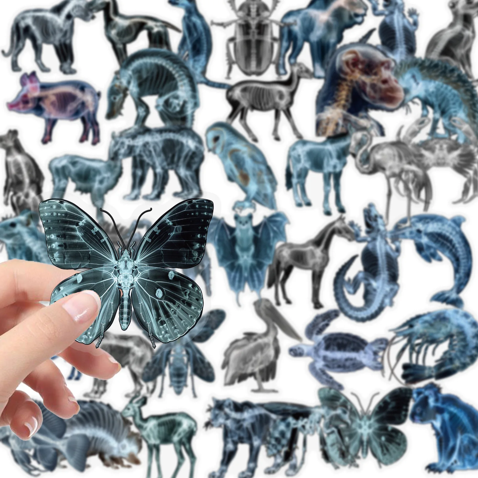 56PCS Animal Skeleton Stickers Creative Transparent Graffiti Decoration Notebook Suitcase Guitar Refrigerator Phone Decals Toys
