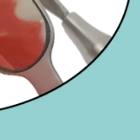 

Long Dental Mouth Mirror Anti Fog Rhodium Coated Reusable High Quality with Handle for Dentist Oral Examination