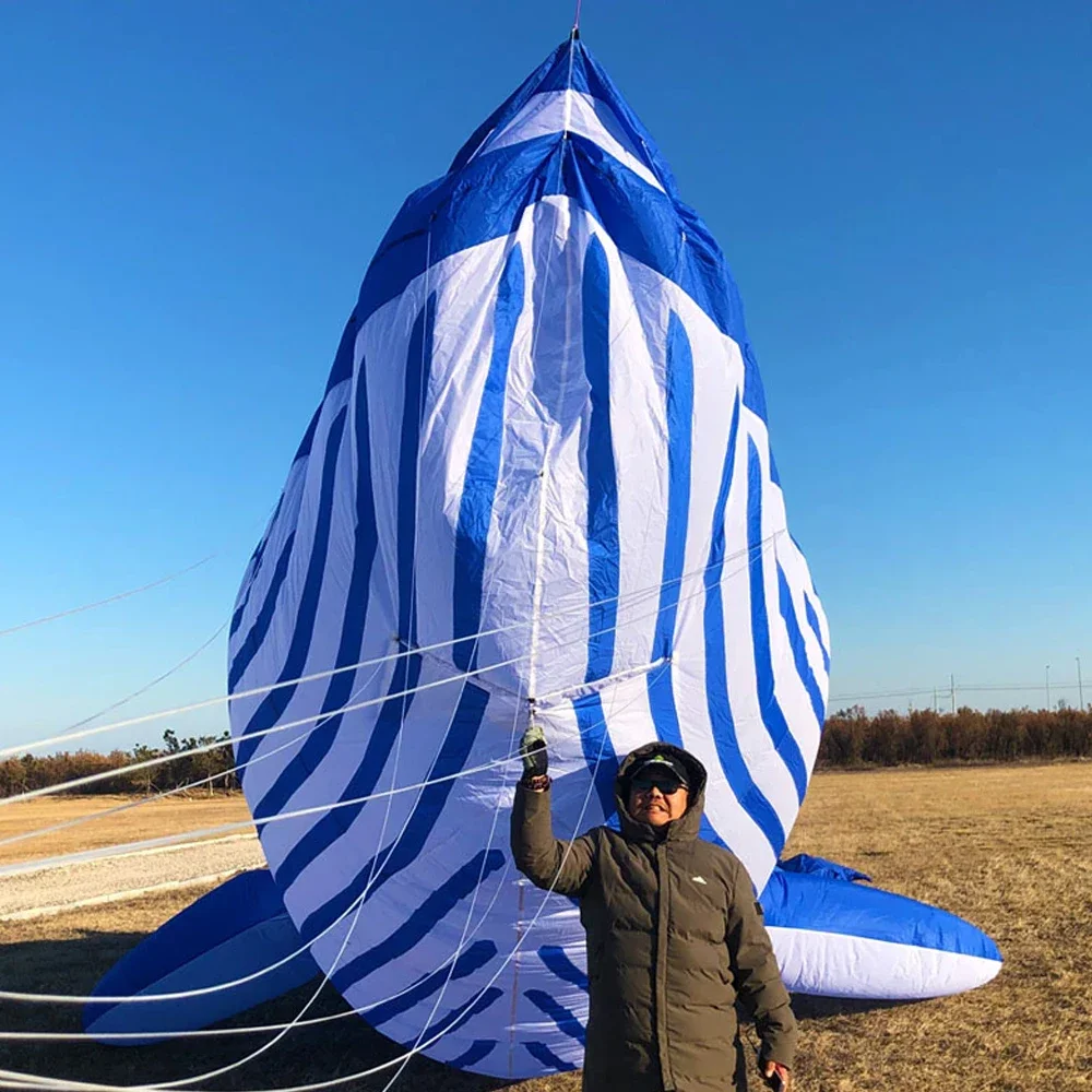 30D 9M balena gonfiabile Soft Kite Performance Hanger Beach Nylon aquiloni a prova di lacrime e facile da volare Cometa Linha De Pipa