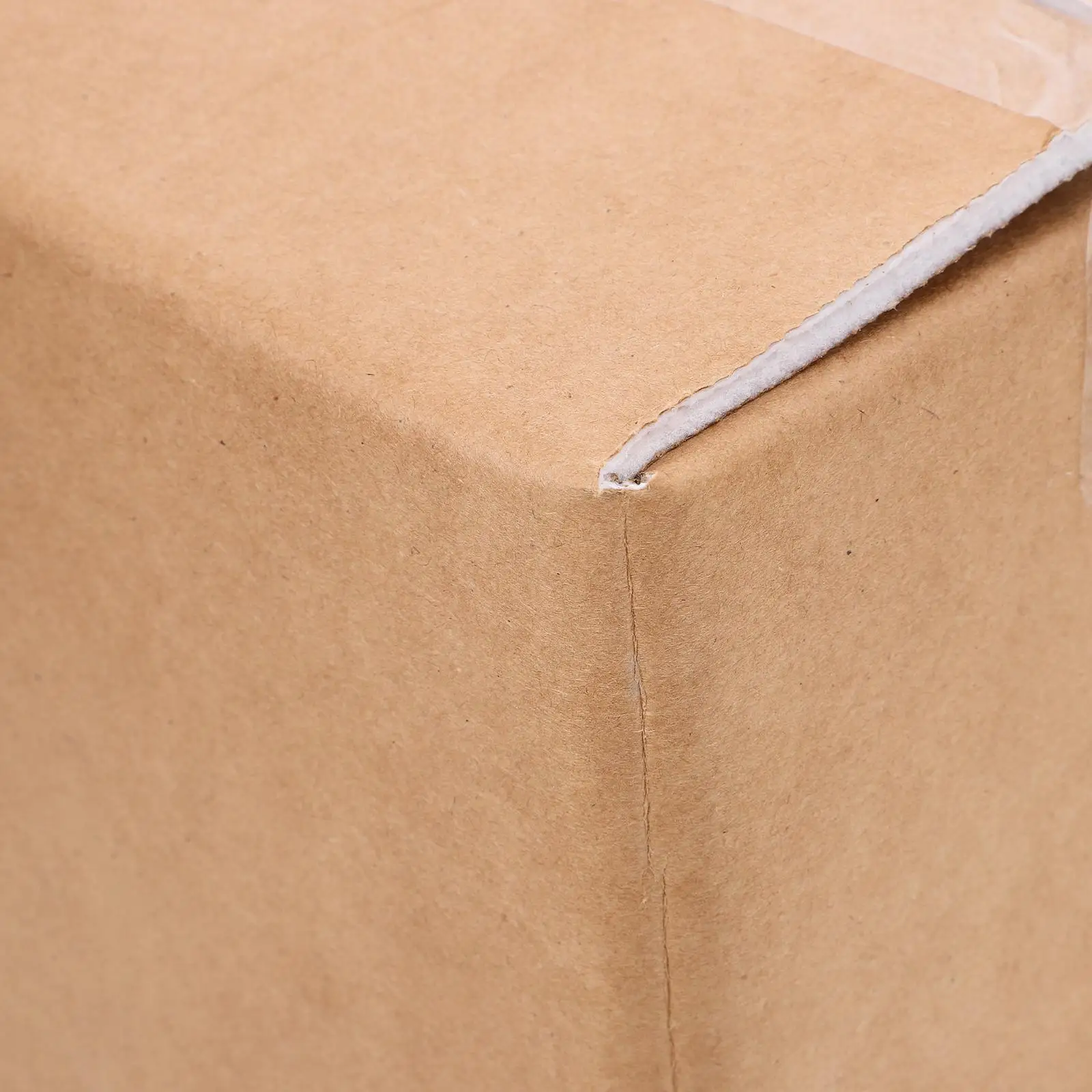 2 Pcs Insulated Transport Box Thermal Insulation Bag Mini Cardboard Boxes Reusable Shipping Bags Containers Cold Packing Fruit