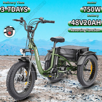 Hidoes Electric Tricycle 750W Powerful Motor 48V20AH Lithium Battery Cargo E-Trike Aldult 20*4-in Fat Tire Fold Electric Trike